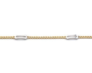 Two Toned Fancy Rectangle Link Ankle Bracelet