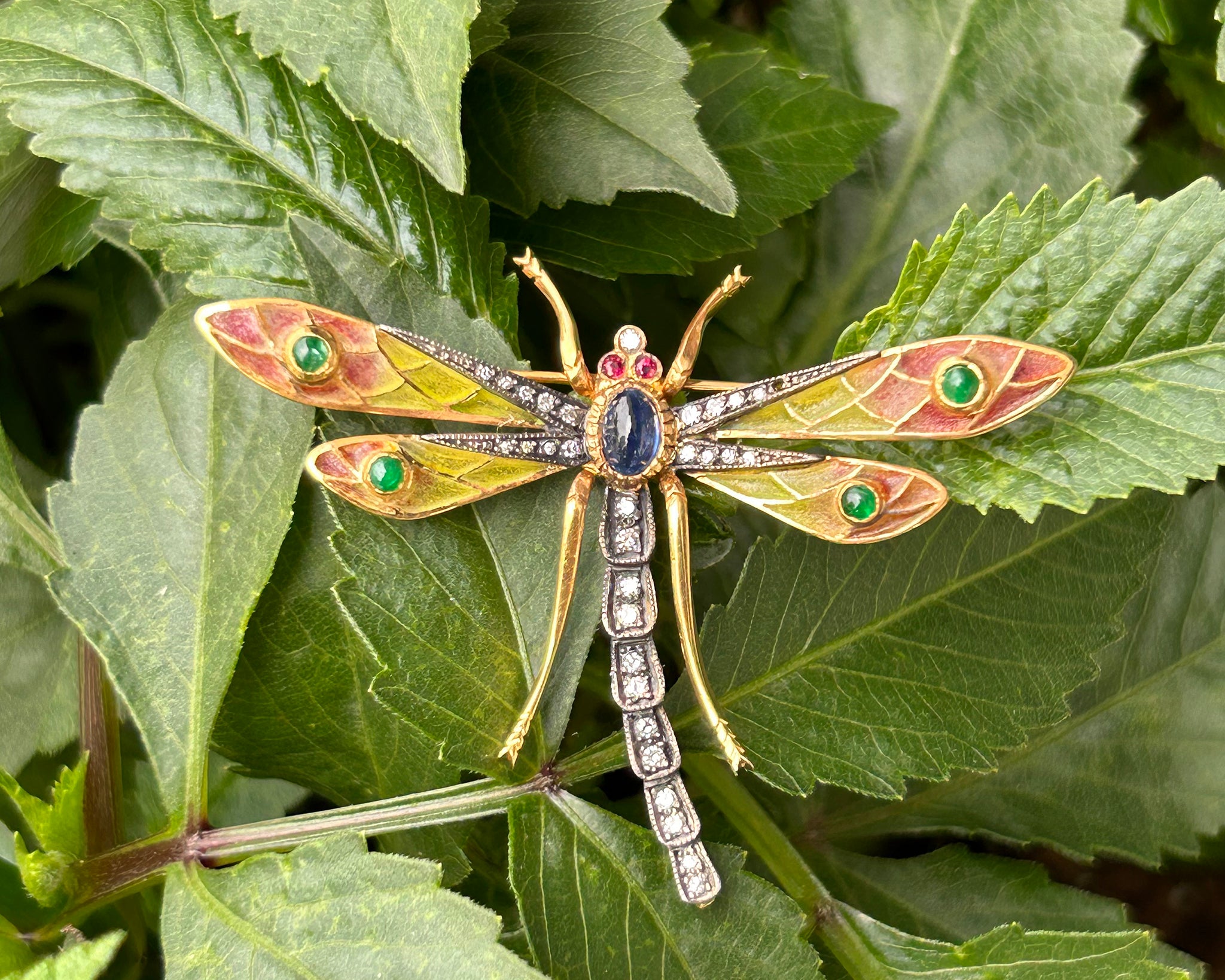An Exquisite Vintage Dragonfly Brooch – Guy Edward Family Jewelers